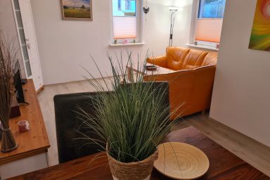B1: Ferien-Bungalow Seewind Ostseebad Rerik - B1(5) 2-Raum-Bungalow (40m², max. 2 Pers.), Haustier erlaubt