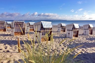 Villa Saxonia in Binz | Wohnung 13 | Ostseeschwalbe