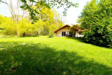 >Haus am Wald Nr. 4< idyllisch ruhig im Naturschutzgebiet - >Haus am Wald Nr.4< idyllisch ruhig im Naturschutzgebiet