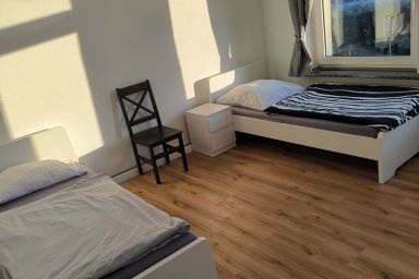 Löwe (1-6 Personen)