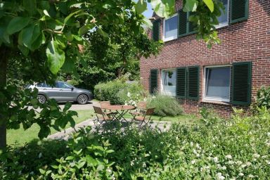 Apart Zwergmöwe im Möwennest Tossens