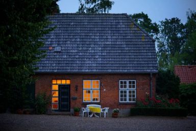 Cottage Gänseblümchen