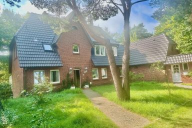 Silbermöwen