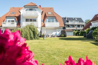 Alte Reihe 10 - Silbermöwe 3