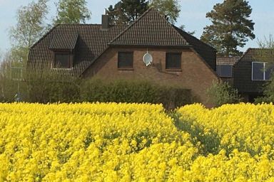 Zwischen den Feldern - Ruhige Ferienwohnung "Zwischen den Feldern" in Süderbrarup / Brebel.