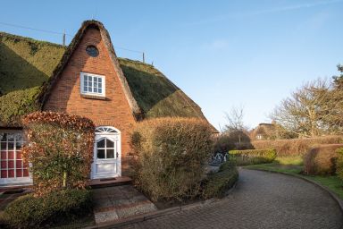 Inselfreude Whg. 10 - Gemütliche 1-Zimmerwohnung unter Reet auf ca. 45 m², für bis zu 2 Personen