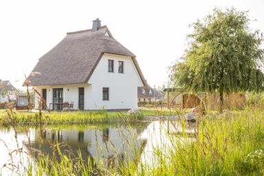 Ferienhaus Seeschwalbe 37 - Ferienhaus Seeschwalbe 37 - Der Natur ganz nah