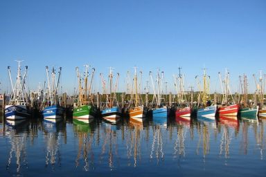 Strandfloh - Gemütliche Ferienwohnung mit Fahrstuhl