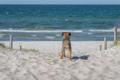 Ferienhaus am Bodden vor Fischland-Darß-Zingst