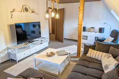 Kiebitz - Graugans .1