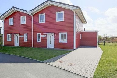 Silbermöwe - Silbermöwe .9