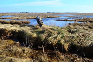 Haus Nordsee - Haus Nordsee Whg 02