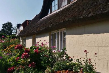 1 Raum-FeWo OstStube 18 qm - OstStube