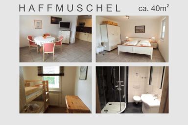 Landhaus Mönkebude - Haffmuschel (5)