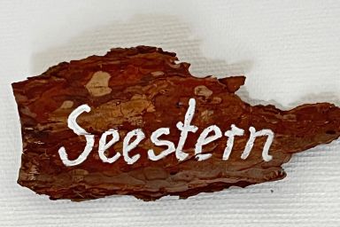Seestern