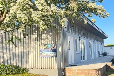 Boddenferienhaus - Boddenferienhaus - ganzes Haus (3 App.)