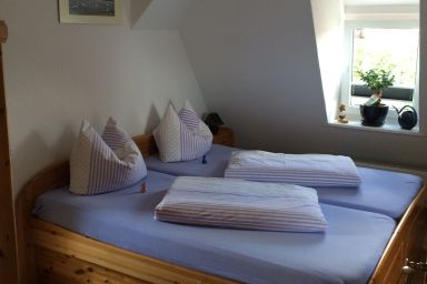 Barther Boddenblick 1