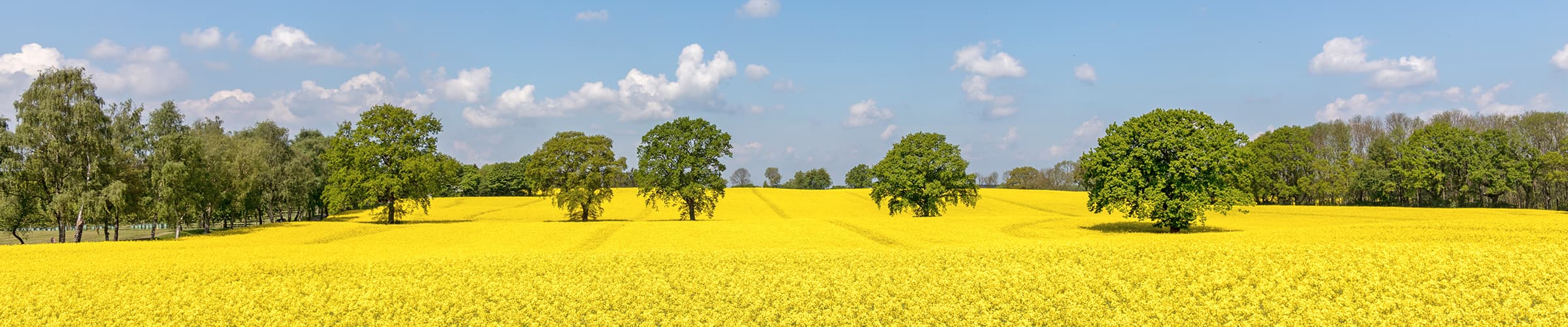 Urlaub Todendorf