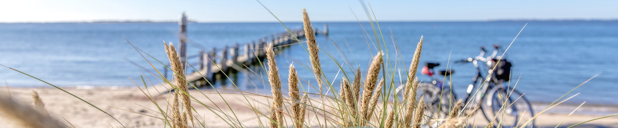 Urlaub Hedehusum