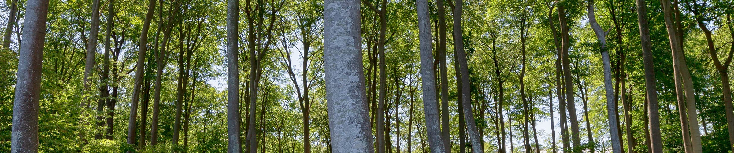 Urlaub Schönwalde am Bungsberg