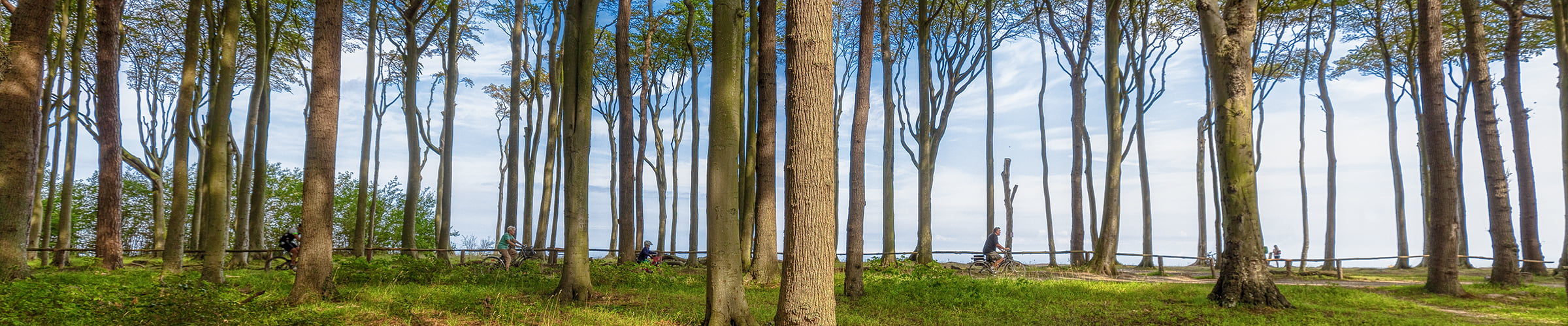 Urlaub Admannshagen-Bargeshagen