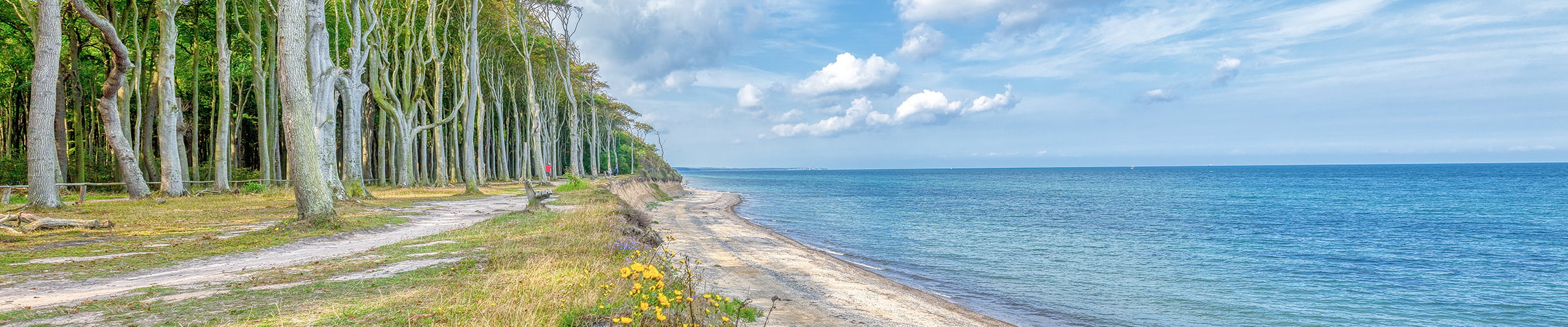 Urlaub Nienhagen