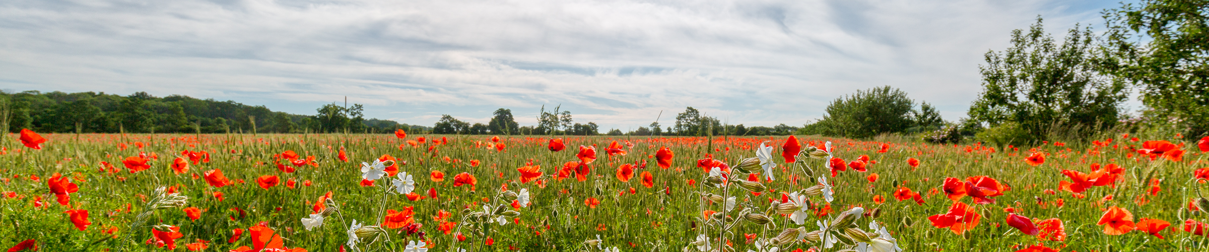 Urlaub Holtland